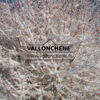 CORNUS sanguinea ‚Winter Beauty‘ en Mars