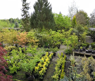 View of Vallonchêne plant nursery