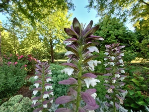 Vallonchêne, vue du jardin