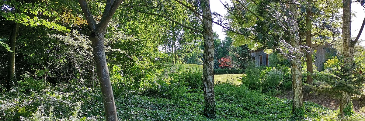 Vue en transparence du gîte de Vallonchêne