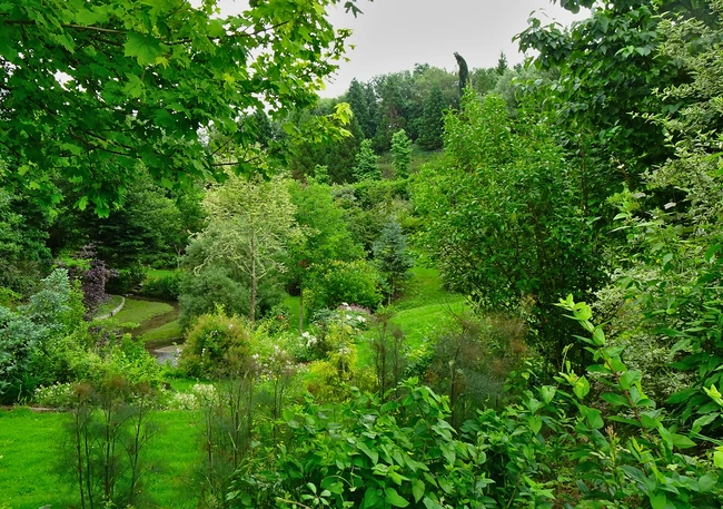 Vue sur le vallon du Jardin de Vallonchêne