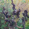 Bois de l'AESCULUS hippocastanum 'Monstrosa' après la chute des feuilles montrant les fasciations sur son bois Bois de l'AESCULUS hippocastanum 'Monstrosa' après la chute des feuilles montrant les fasciations sur son bois