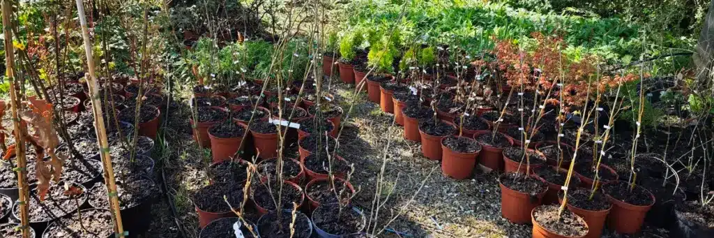Plants in production at VallonchĂȘne